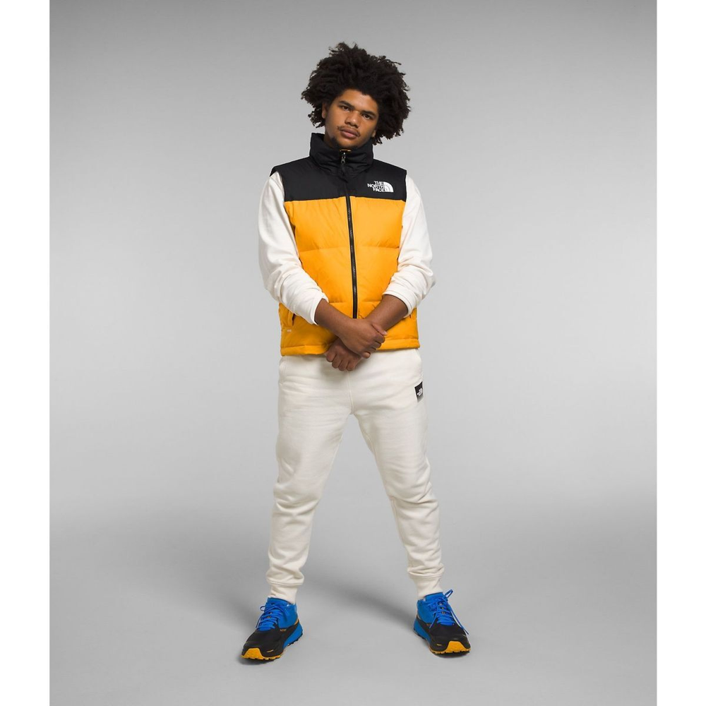THE NORTH FACE 1996 Retro Nuptse 700