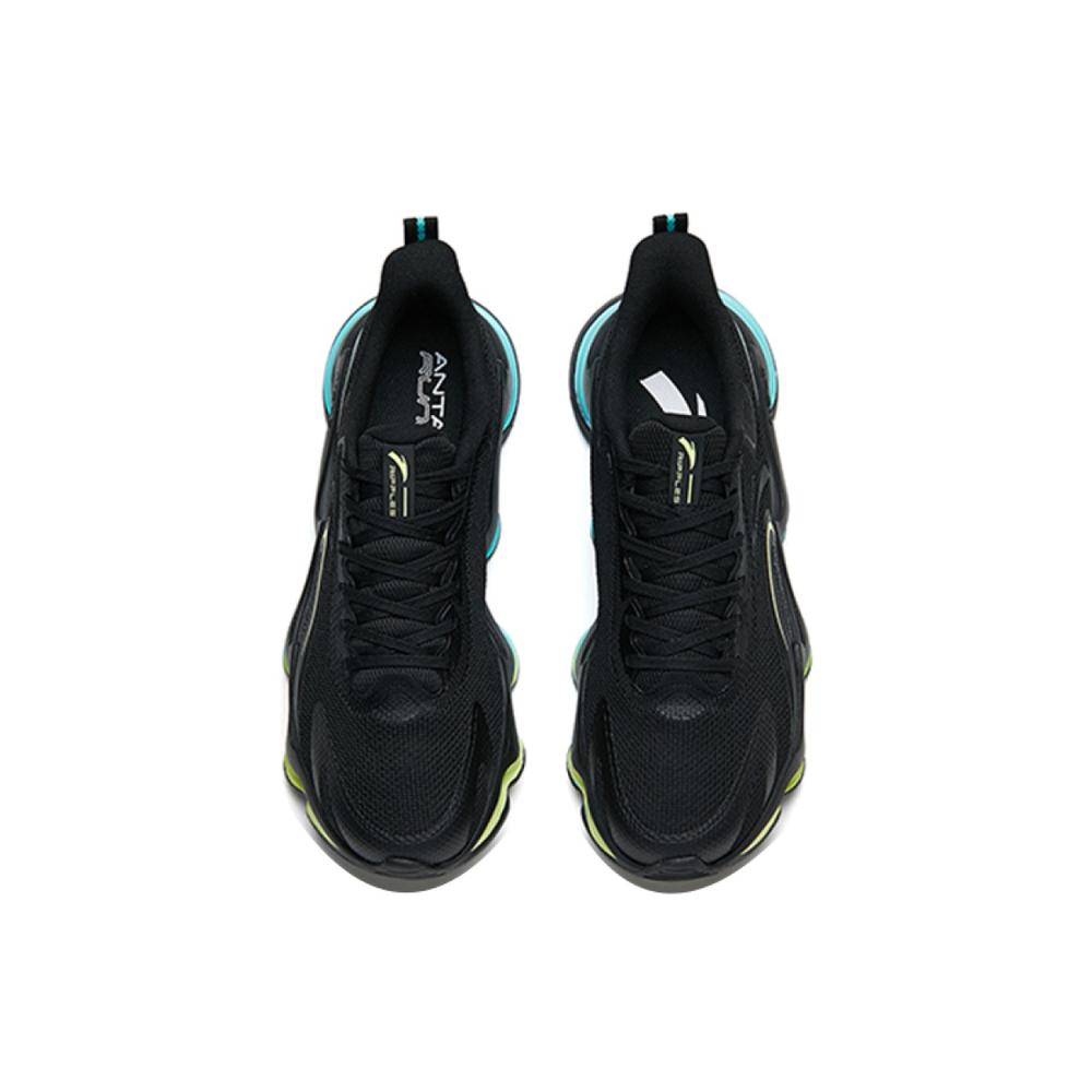 Anta