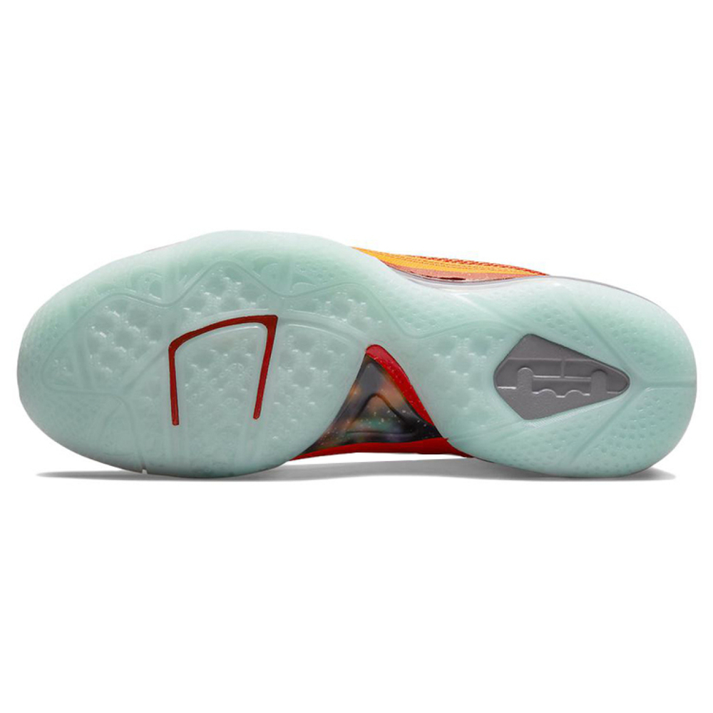 Nike Lebron 9 9 TPU