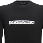 EMPORIO ARMANI FW23 Logo T
