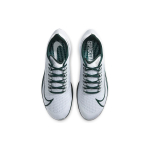 Nike Pegasus 37 Michigan State