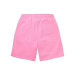 Supreme FW23 WEEK1 SMALL BOX SWEATSHORT Logo