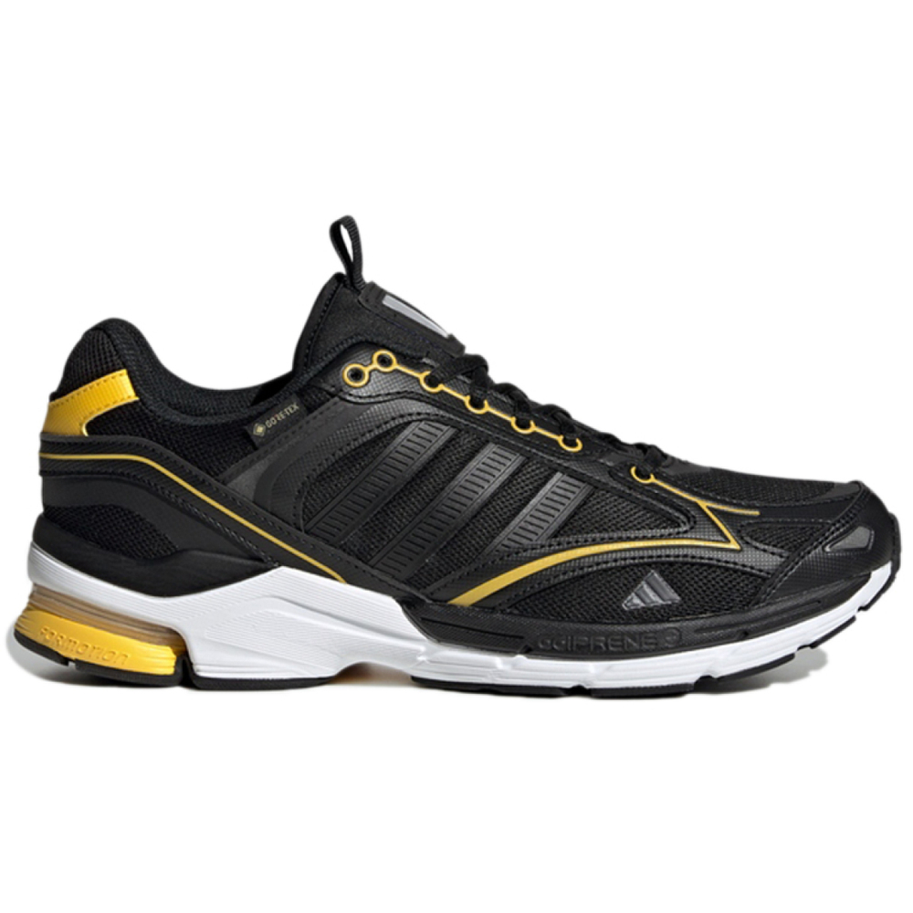 Adidas Spiritain 2000 Gtx