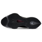 Jordan Air Zoom Renegade "PSG"
