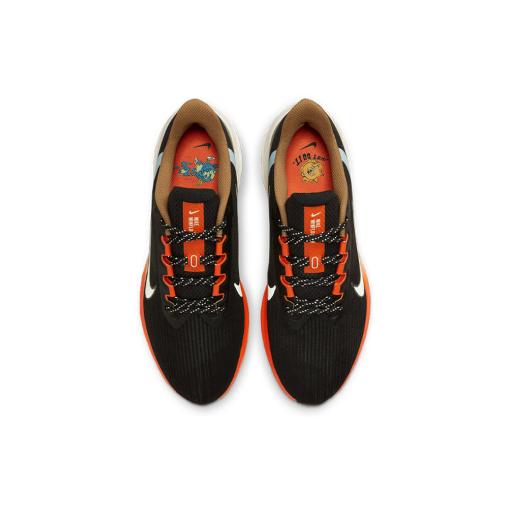 Nike Zoom Winflo 9