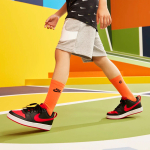 Nike Court Borough Low 2