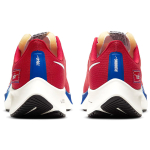 Nike Pegasus 37 Air Zoom/React