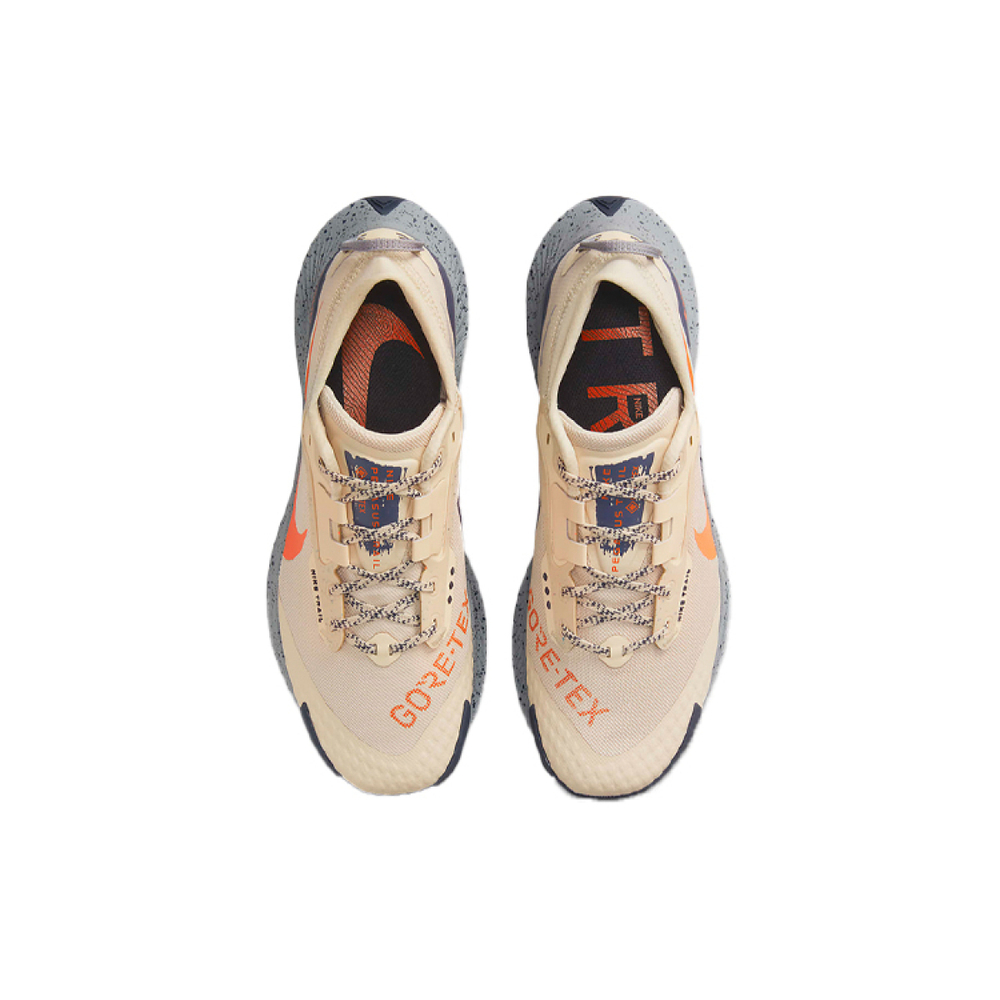 Nike Pegasus Trail 3 GTX