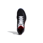 Adidas D Rose 10
