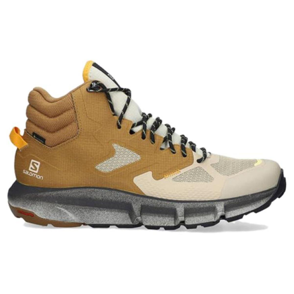 SALOMON Predict Hike