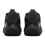 Nike PG 6 6