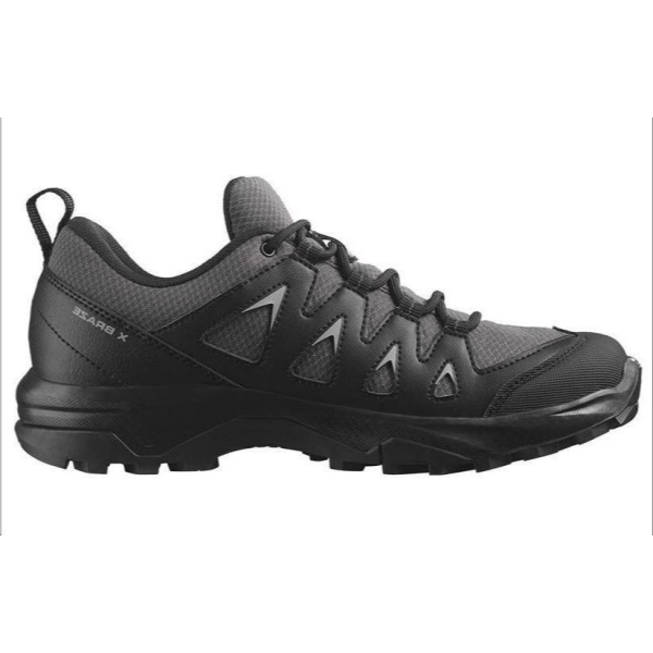 SALOMON X Braze GTX W /