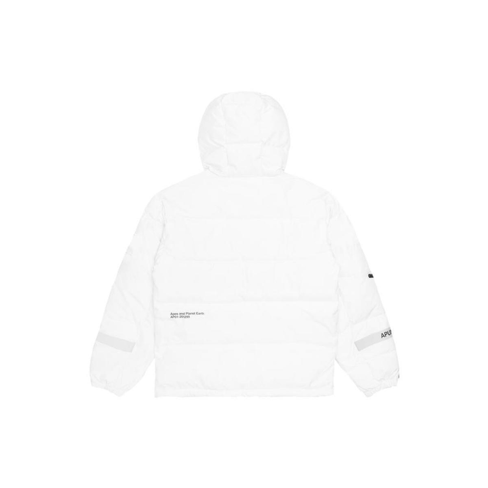 Aape x NASA Logo