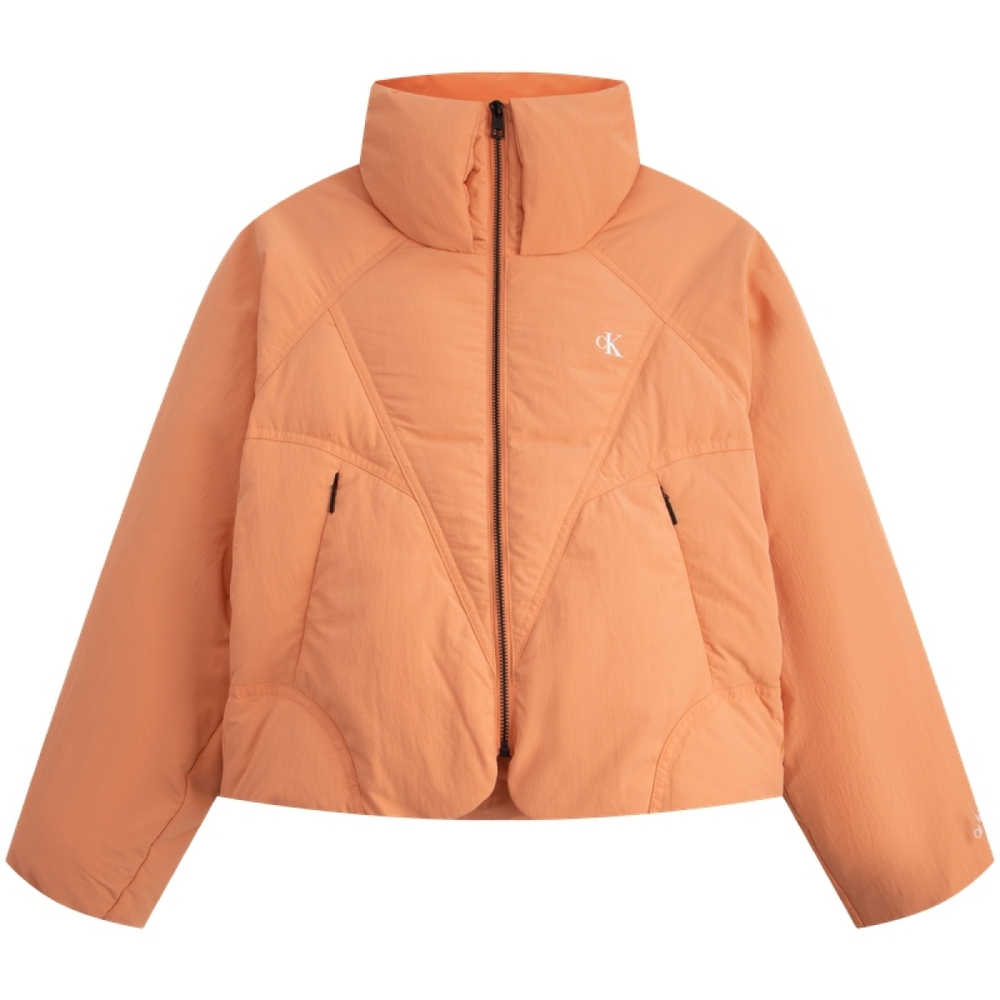 CK/Calvin Klein Logo