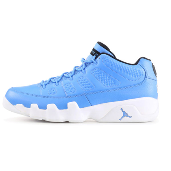 Jordan Air Jordan 9 Retro Low Pantone