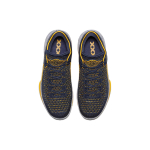 Jordan Air Jordan 32 Low “Michigan”