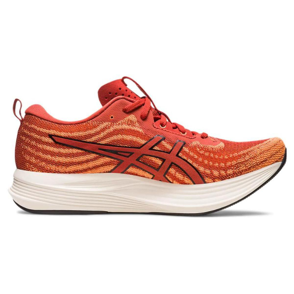 Asics EvoRide