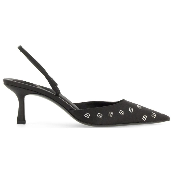 Alexander wang Delphine 65