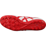 Asics DS LIGHT AG（ ）