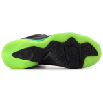 Nike Lebron 9 Dunkman