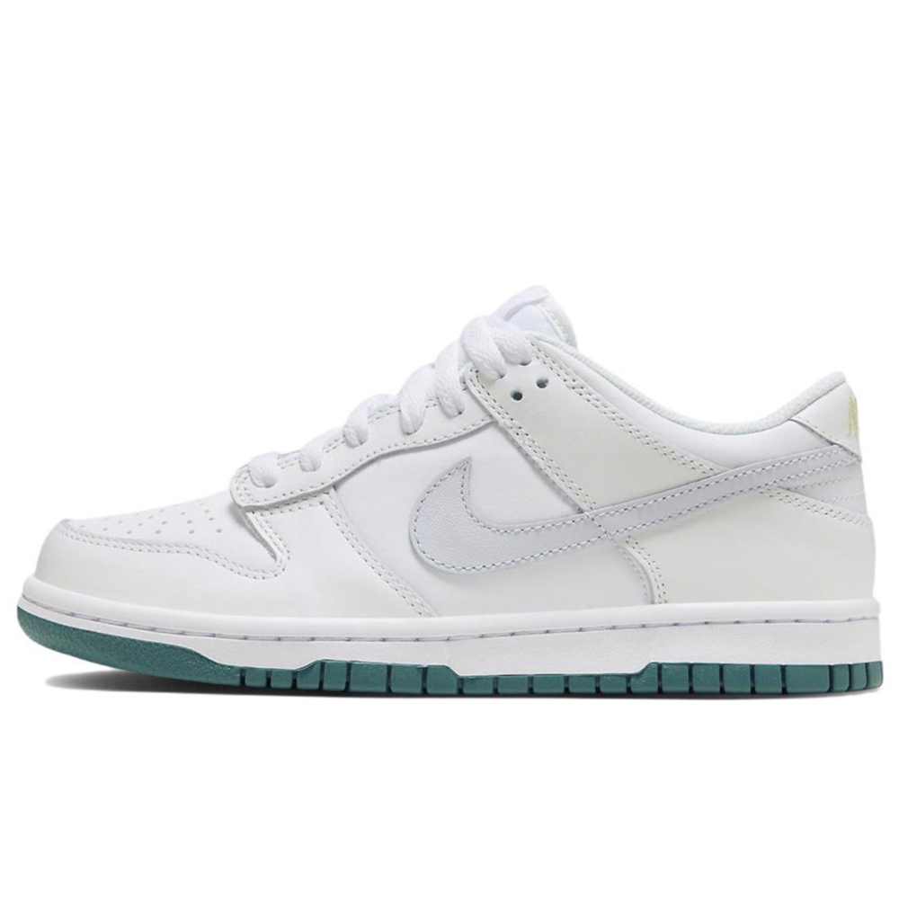 【 】 Nike Dunk 3D