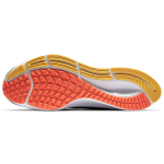 Nike Pegasus 37