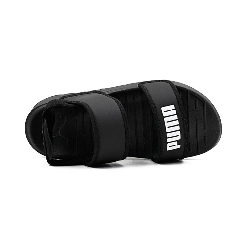 Puma Summer Cat
