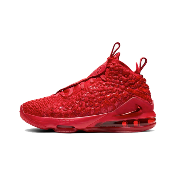 Nike Lebron 17