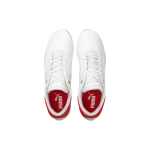 Puma Scuderia Ferrari Drift Cat Delta