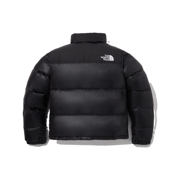 /THE NORTH FACE Logo