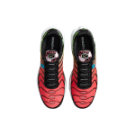 Nike Air Max Plus Worldwide