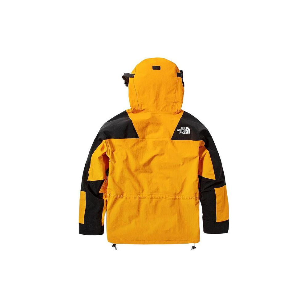 THE NORTH FACE Retro Mountain Light Futurelight
