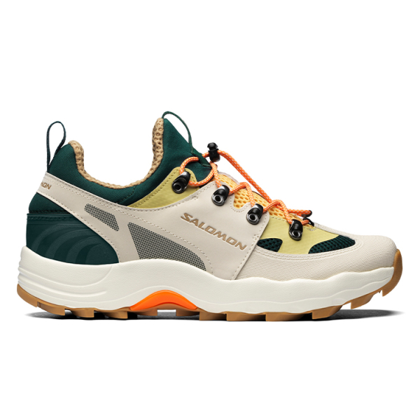 Salomon Raid Wind