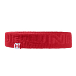 Under Armour UA Wordmark Terry