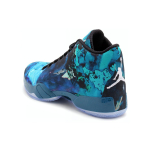 Jordan Air Jordan 29