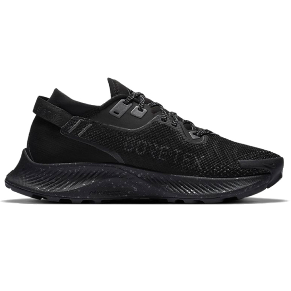 Nike Pegasus Trail 2