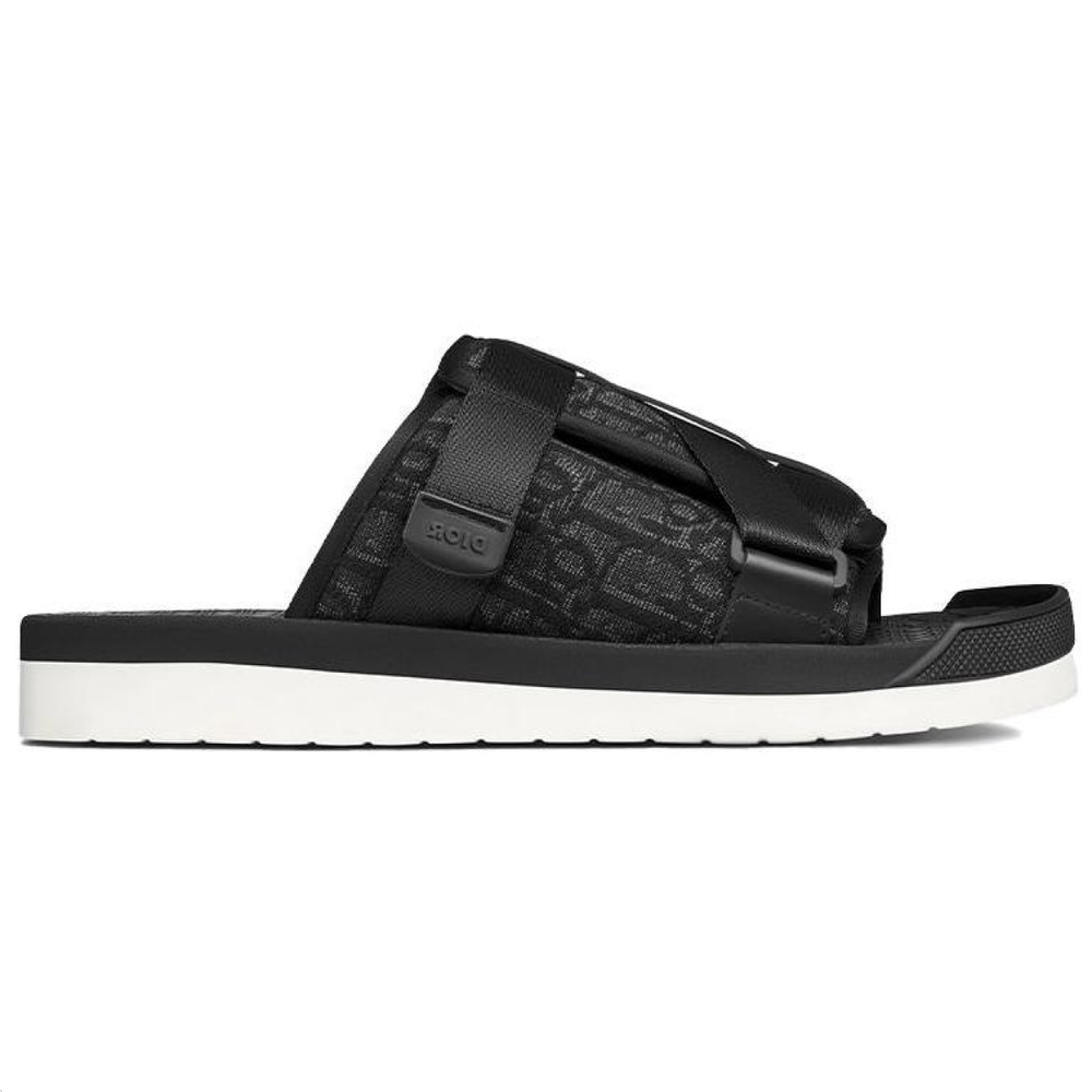 DIOR Alpha