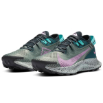 Nike Pegasus Trail 2