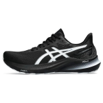 Asics GT-2000 12