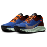 Nike Pegasus Trail 2 Zoom GORE-TEX