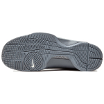 Nike Hyperdunk 2008