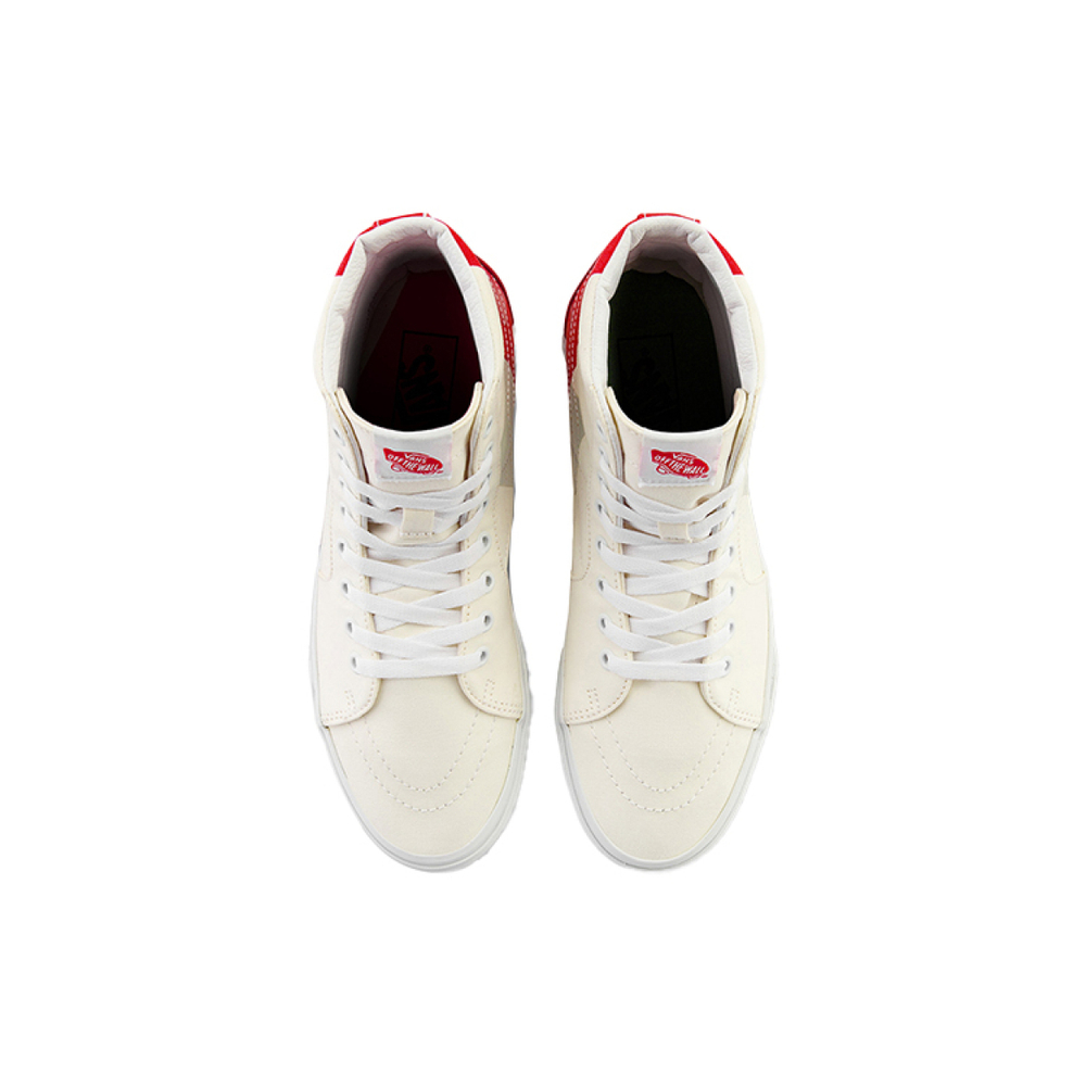 MOCA x Vans SK8