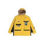 Aape