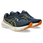 Asics Gel-Kayano 30