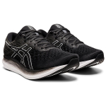 Asics EvoRide 2