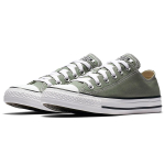 Converse Chuck Taylor All Star Seasonal Color Low Top