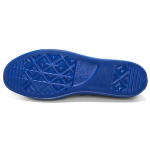 Converse Chuck Taylor Seasonal