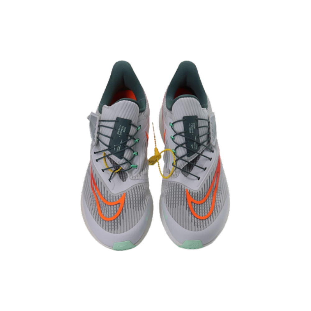 Nike Pegasus FlyEase Air Zoom