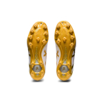 Asics Ds Light Club + AG（ ）