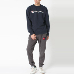 Champion